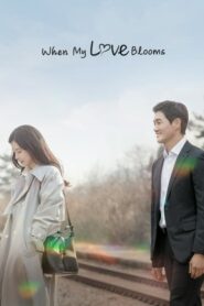 When My Love Blooms (2020) ตอนที่ 1-16 (จบ)