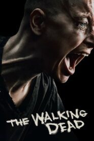 The Walking Dead เดอะ วอล์กกิง เดด Season 1-11