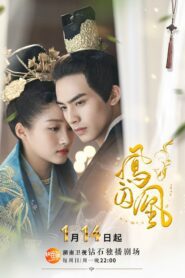 ดูซีรี่ย์ Untouchable Lovers องค์หญิงสวมรอย ตอนที่ 1-52 (จบ)