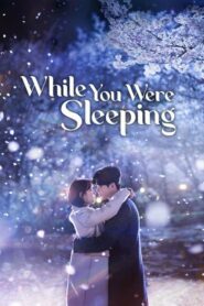 ดูซีรี่ย์ While You Were Sleeping ลิขิตฝันฉันและเธอ ตอนที่ 1-16 (จบ)