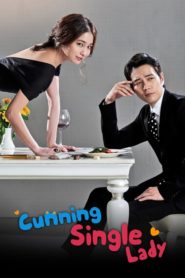 Cunning Single Lady เล่ห์รักยัยตัวร้าย ตอนที่ 1-16 (จบ)