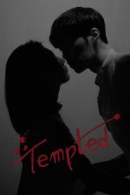 ดูซีรี่ย์ Tempted เกมรักกลลวง ตอนที่ 1-16 (จบ)