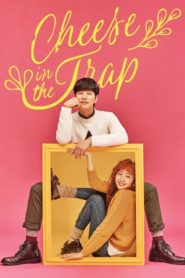 Cheese in the Trap แผนรักกับดักหัวใจ ตอนที่ 1-16 (จบ)