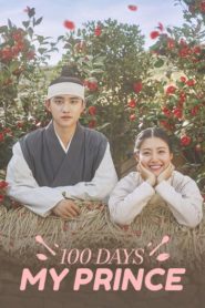 100 Days My Prince รัก 100 วันของฉันและองค์ชาย ตอนที่ 1-16 (จบ)