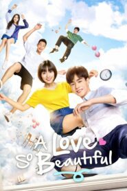 ดูซีรี่ย์ A Love So Beautiful นับแต่นั้น ฉันรักเธอ ตอนที่ 1-24 (จบ)