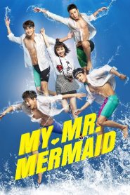 My Mr. Mermaid พุ่งด้วยใจ ไปสู่ฝัน ตอนที่ 1-36 (จบ)