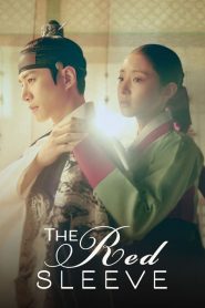 ดูซีรี่ย์ The Red Sleeve 2021 EP.1-17 (จบ)