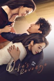 ดูซีรี่ย์ Wife s Revenge (2021) ปมรักแรงแค้น EP.1-24 (จบ)