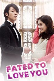 Fated to Love You (2014) ชะตารัก สะดุดเลิฟ EP.1-20 (จบ)