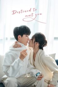 Destined to meet you (2022) เดสทินี รักนี้พี่ขอ EP.1-20 (จบ)