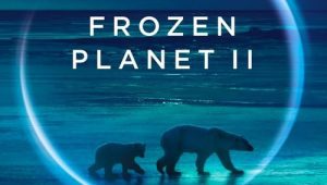 ดูซีรี่ย์ Frozen Planet 2 (2022) Season 1 ตอนที่ 1