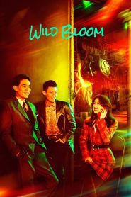 Wild Bloom (2022) ยอดหญิงแกร่ง EP.1-36 (จบ)