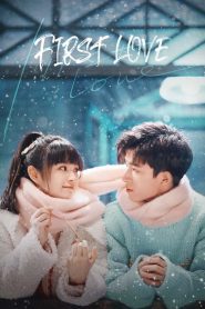 First Love (2022) วุ่นนัก โจทย์รักแรก EP.1-24 (จบ)