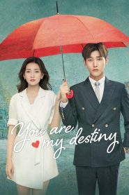 You Are My Destiny (2020) พรหมลิขิตรักไม่รู้จบ EP.1-10 (จบ)