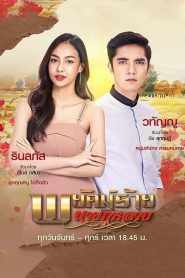 ดูซีรี่ย์ Mr. Rose The Secret Spy (2022) พยัคฆ์ร้ายนายกุหลาบ EP.1-30 (จบ)