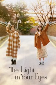 ดูซีรี่ย์ The Light in Your Eyes (2019) การเดินทางของวันวานและความรัก EP.1-12 (จบ)