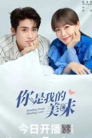 Healing Food Healing Love (2022) ปรุงเลิฟให้เธอรัก EP.1-23 (จบ)