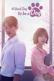 A Good Day To Be A Dog (2023) EP.1-14 (จบ)