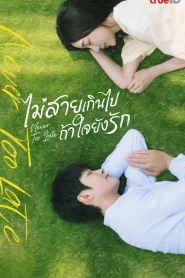 Never Too Late (2022) ไม่สายเกินไปถ้าใจยังรัก EP.1-22 (จบ)