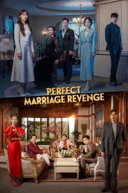 ดูซีรี่ย์ Perfect Marriage Revenge (2023) วิวาห์ลวงชวนให้รัก EP.1-12 (จบ)