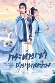 The Princess Is a Rabbit Fairy (2023) กระต่ายซ่า ชายาท่านอ๋อง EP.1-24 (จบ)