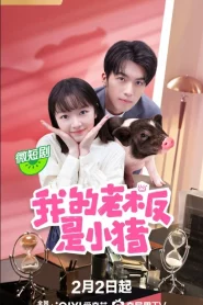 My Piggy Boss (2024) หัวหน้าฉันเป็นหมูน้อย EP.1-12 (จบ)