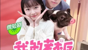 ดูซีรี่ย์ My Piggy Boss (2024) หัวหน้าฉันเป็นหมูน้อย Season 1 ตอนที่ 1