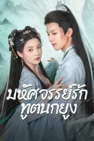 ดูซีรี่ย์ Peacock in Wonderland (2024) มหัศจรรย์รักทูตนกยูง EP.1-42 (จบ)