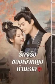 The Substitute Princess s Love (2024) รักจริงของเจ้าหญิงกำมะลอ EP.1-24 (จบ)