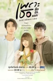 ดูซีรี่ย์ A Love So Beautiful (2024) เพราะเธอคือรักแรก EP.1-18 (จบ)