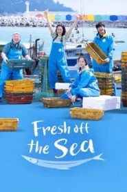 Fresh off the Sea (2024) EP.1-13 (จบ)