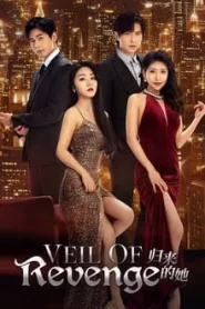 Veil of Revenge (2024) ขอรักกลับคืนใจ EP.1-24 (จบ)