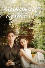 ดูซีรี่ย์ Xiangbei Regret (2024) เกสต์เฮาส์เยียวยารัก EP.1-20 (จบ)