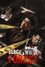 Black and White Forest (2024) ปมปริศนาป่าซ่อนเงื่อน EP.1-28 (จบ)