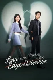 Love in the Edge of Divorce (2025) เมื่อหัวใจห่างไกลรัก EP.1-31 (จบ)