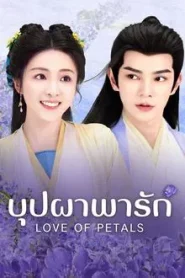 Love of Petals (2025) บุปผาพารัก EP.1-24 (กำลังรอฉาย)